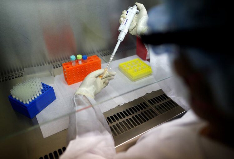 Argentina confirma su primer caso del nuevo coronavirus Argentina confirma su primer caso del nuevo coronavirus