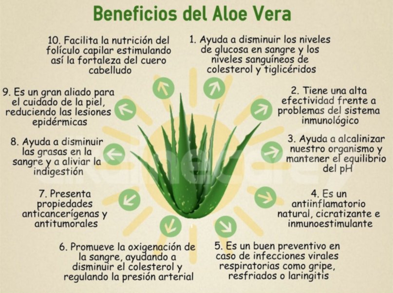 Remedio casero de Aloe Vera para las estrías